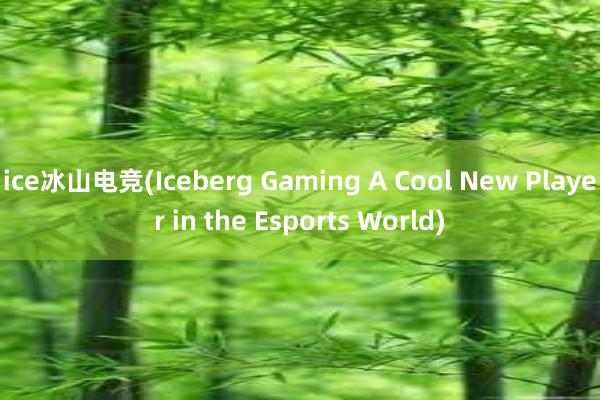 ice冰山电竞(Iceberg Gaming A Cool New Player in the Esports World)