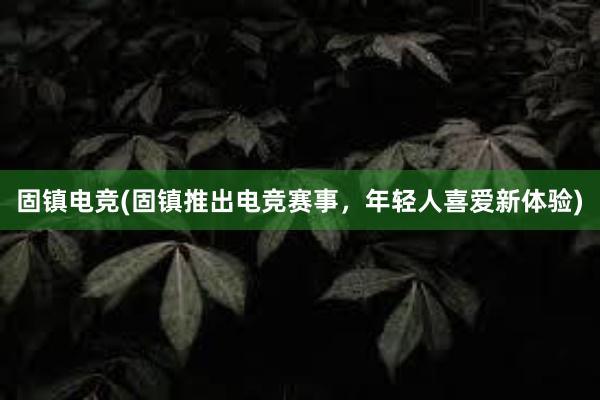 固镇电竞(固镇推出电竞赛事，年轻人喜爱新体验)