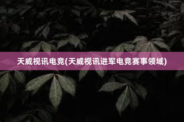 天威视讯电竞(天威视讯进军电竞赛事领域)