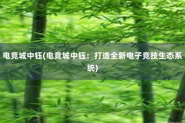 电竞城中钰(电竞城中钰：打造全新电子竞技生态系统)