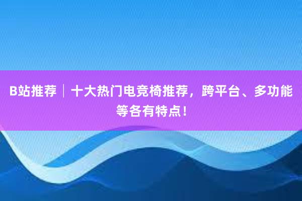 B站推荐│十大热门电竞椅推荐，跨平台、多功能等各有特点！