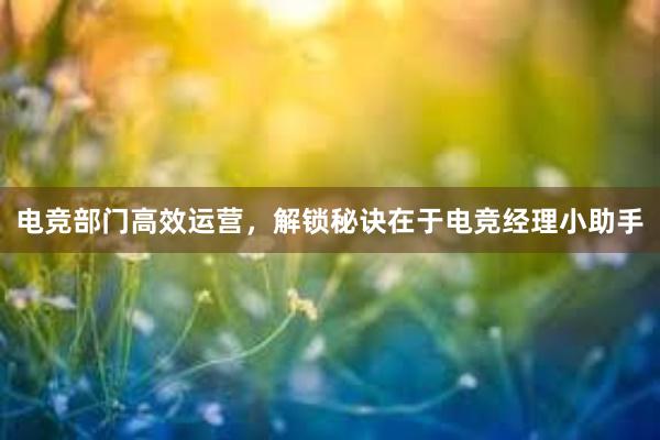 电竞部门高效运营，解锁秘诀在于电竞经理小助手